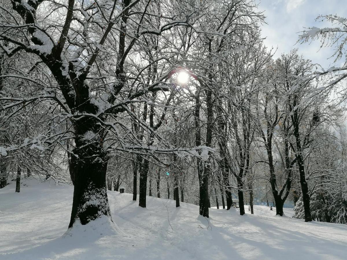 Appartamento Bellavista Cavalese Kültér fotó