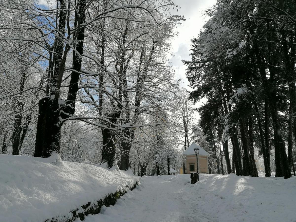 Appartamento Bellavista Cavalese Kültér fotó