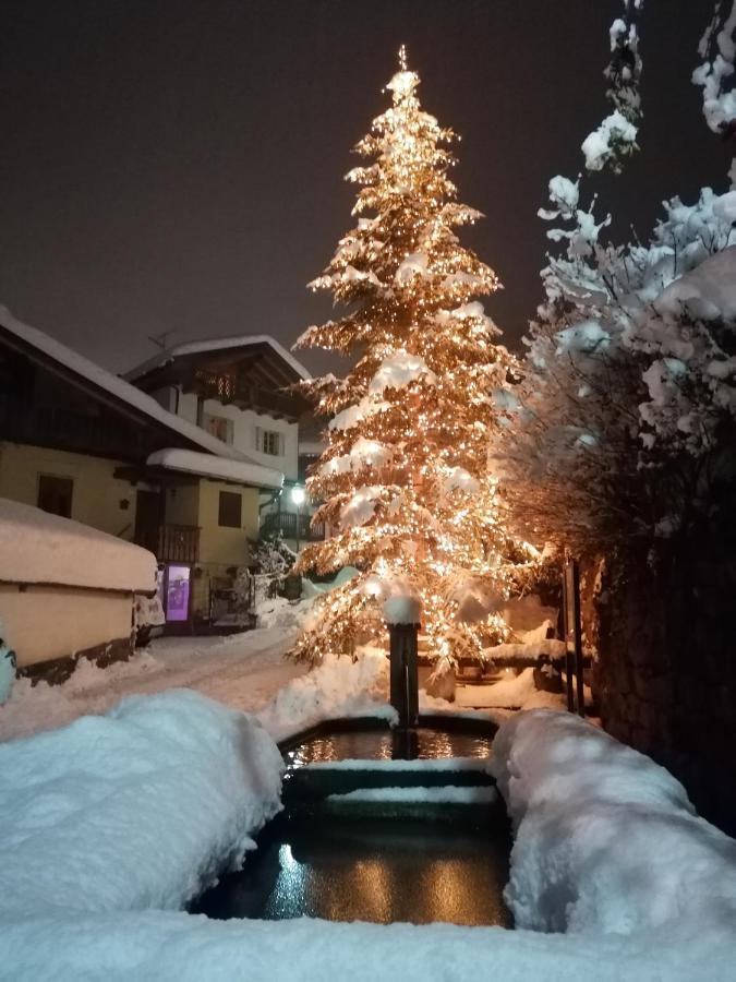 Appartamento Bellavista Cavalese Kültér fotó
